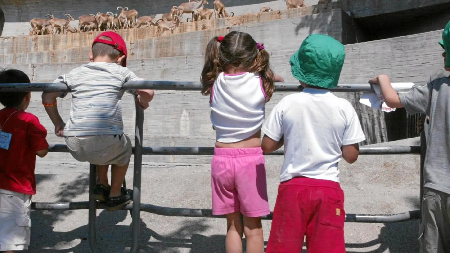 Los pedagogos denuncian que los niños pierden parte de su aprendizaje