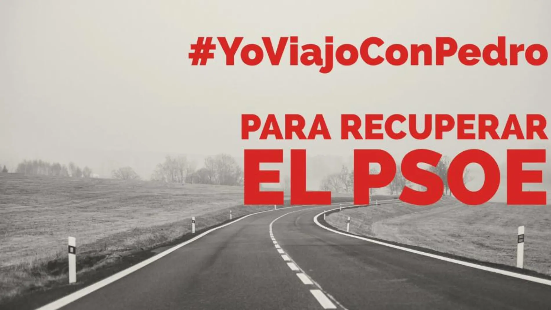 Twitter coge el volante: #YoViajoConPedro