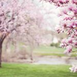 Ya está aquí la primavera....y sus efectos