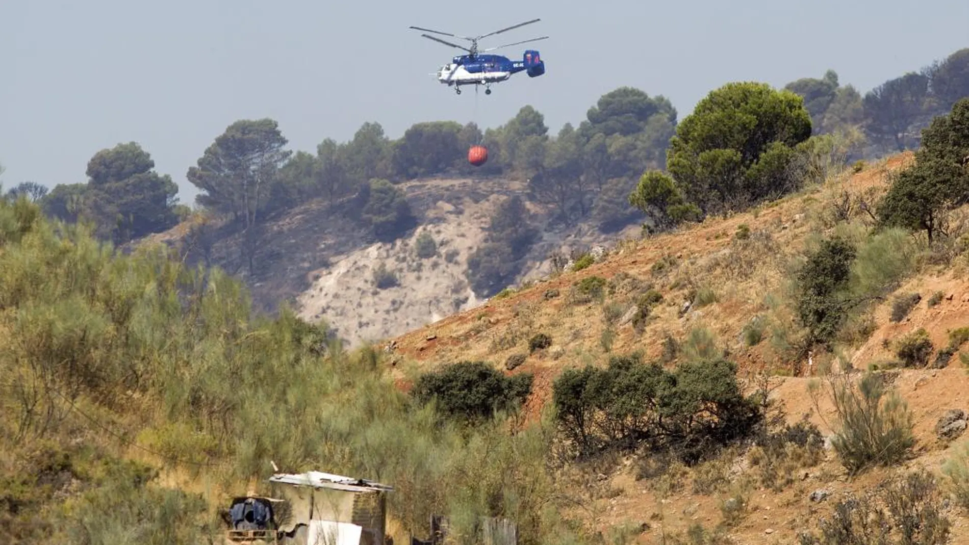 La patronal de las empresas forestales critica la escasa intervención en los montes en materia preventiva