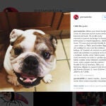 Homenaje de Gloria Estefan a Issac en su perfil de Instagram