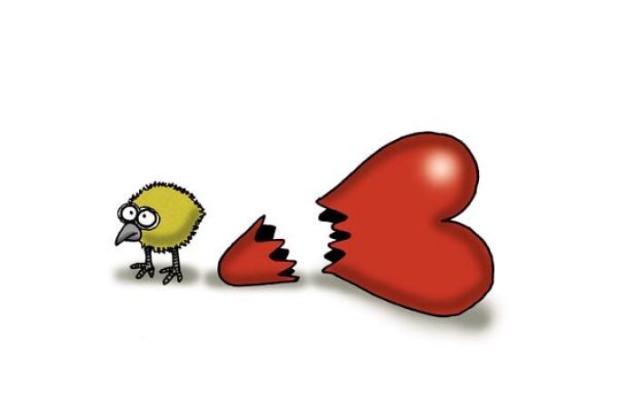 Amarás a tu corazón sobre todos los órganos porque con él deteriorado tendrás una peor calidad de vida