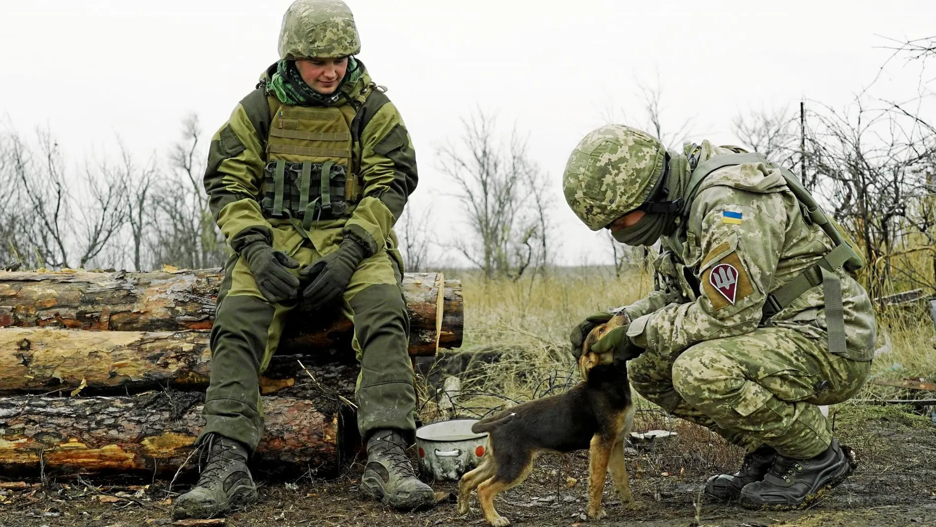 Soldados ucranianos saludan a un cachorro cerca del frente de batalla con los separatistas prorrusos, en Shyrokyne, al este de Ucrania / Ap