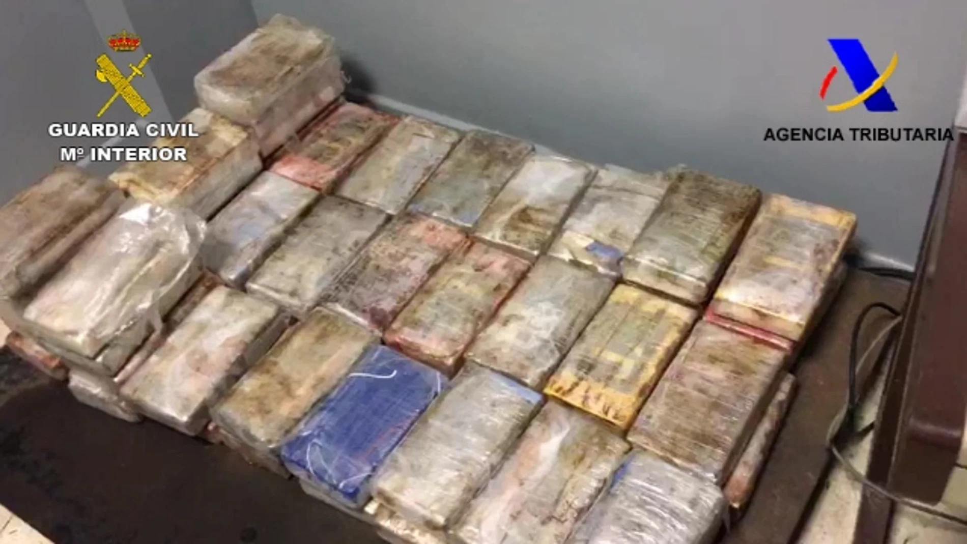 Intervenidos 445 kilos de cocaína entre pollos congelados en el puerto de Algeciras