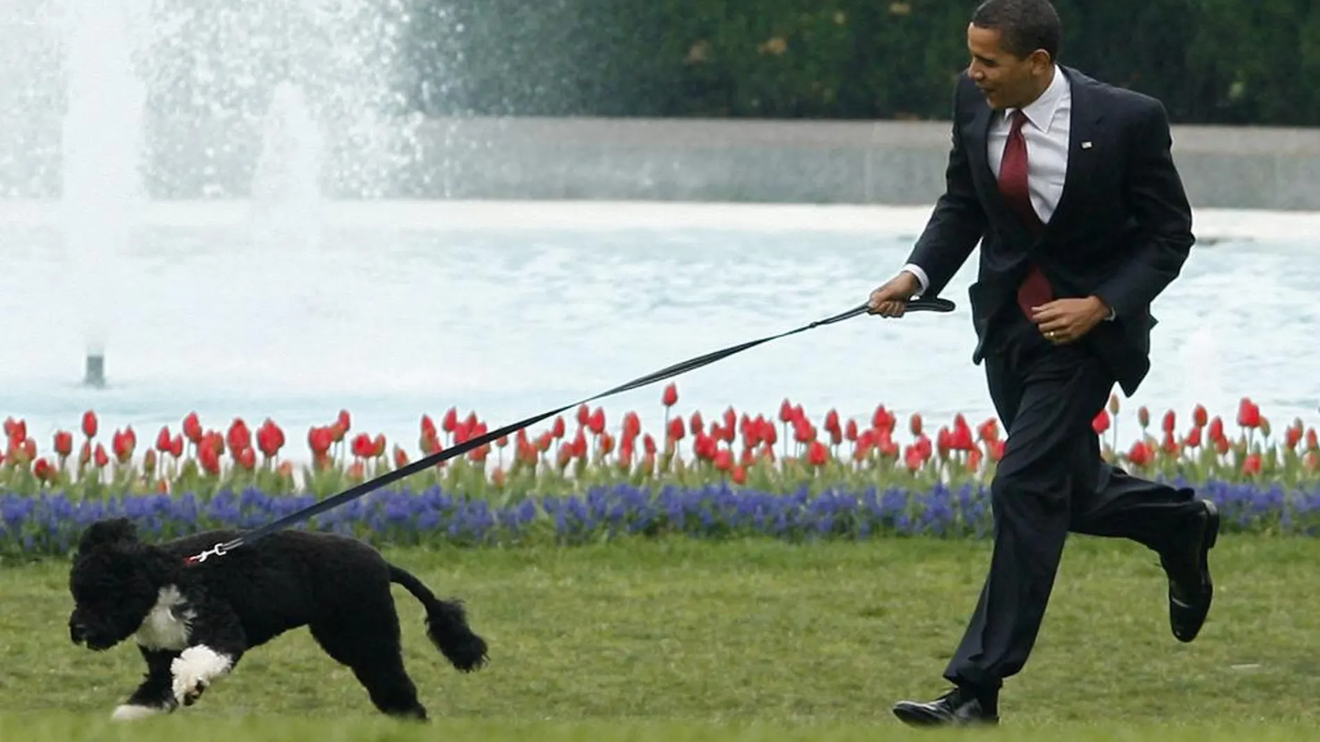 Detenido un hombre que quería secuestrar al perro de Obama