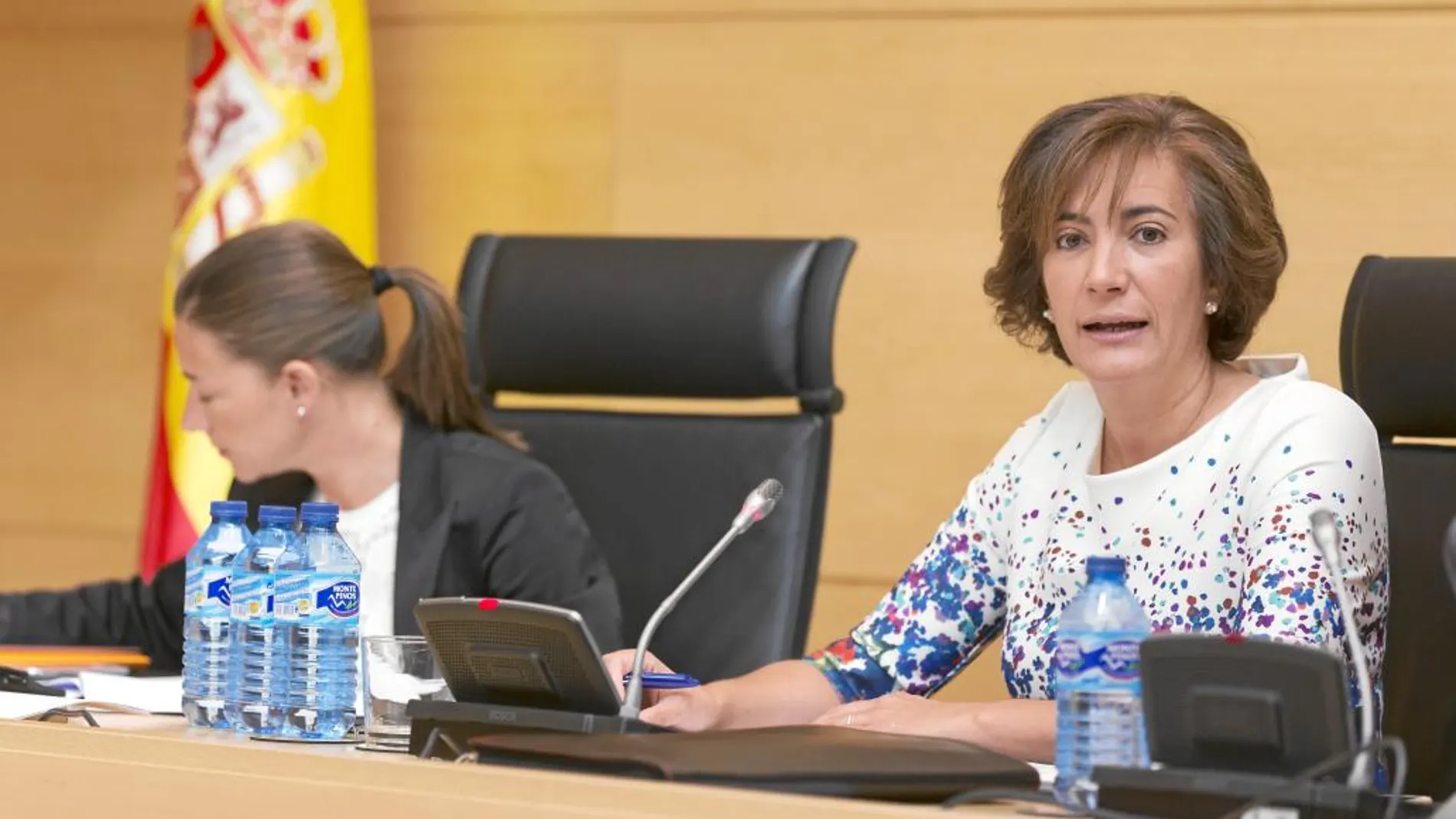 La consejera María Josefa García-Cirac explica en las Cortes las prioridades en materia de Cultura y Turismo