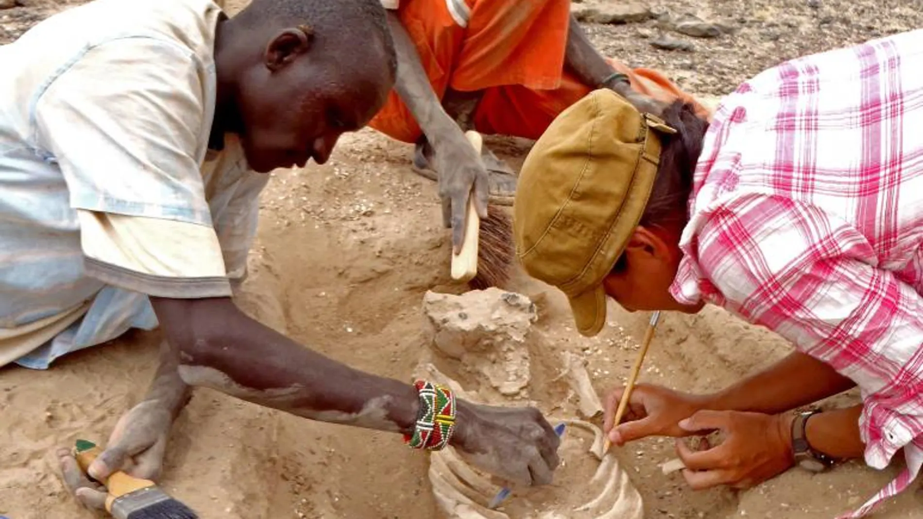 Excavaciones a las orillas del lago Turkana