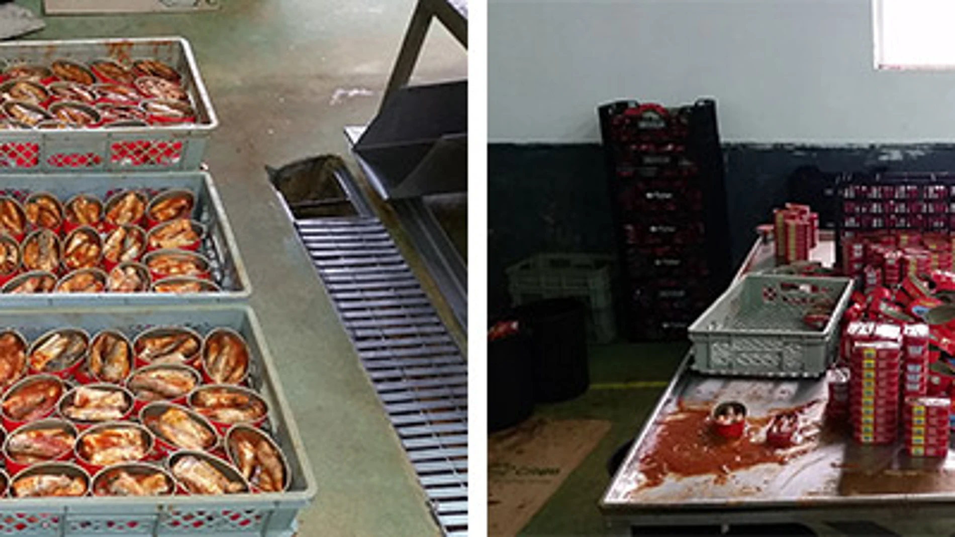 En España se desmanteló una organización delictiva que utilizaba documentación falsa para vender marisco que no era apto para el consumo humano