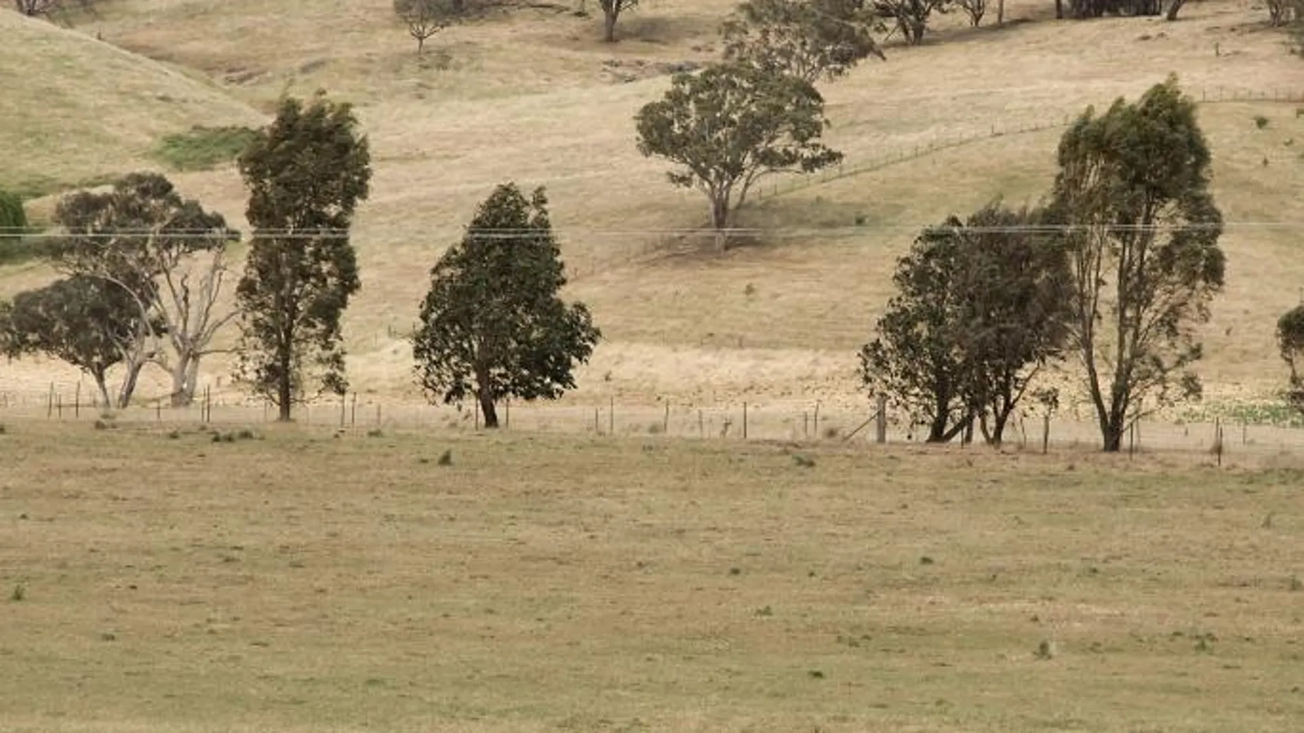 Una explotación ganadera en Nueva Zelanda, en una imagen de archivo