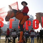 Decenas de personas se han manifestación contra el tratado con Canadá en Bruselas