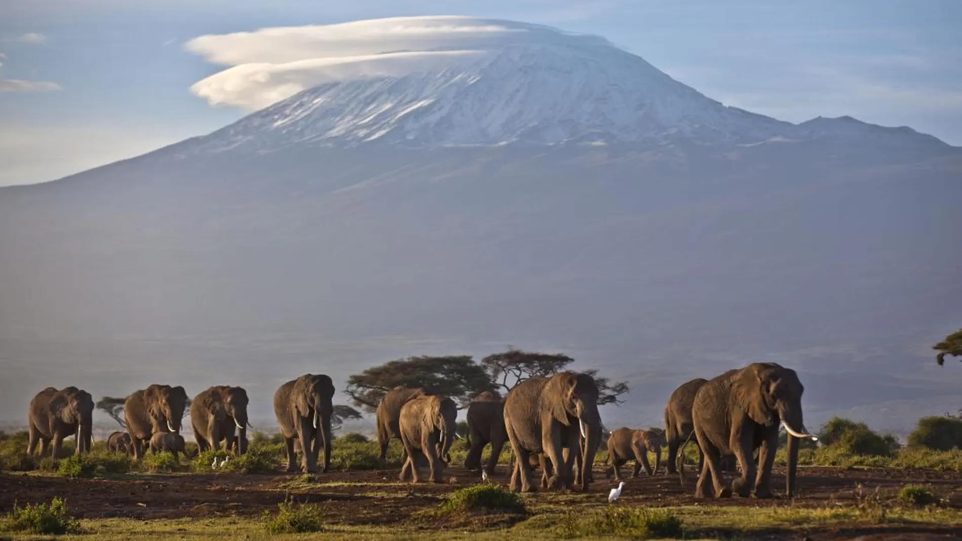 Imagen de archivo de Tanzania / Foto: Ap