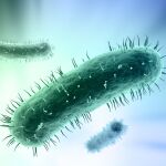 La resistencia bacteriana causará diez millones de muertes en 2050