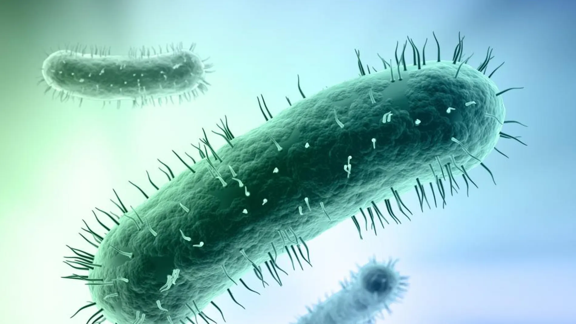 La resistencia bacteriana causará diez millones de muertes en 2050
