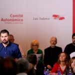 El secretario regional del PSOE y candidato a la Junta, Lui Tudanca, interviene durante el Comité Autonómico del partido