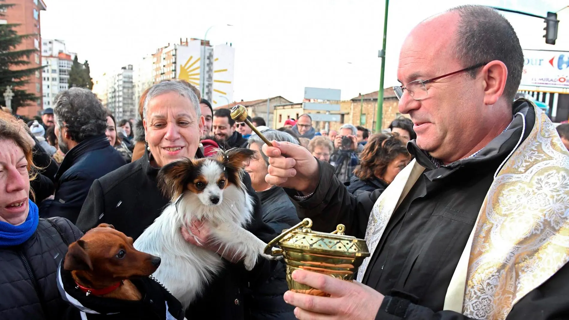 Bendición de animales por San Antón en el barrio Gamonal de Burgos