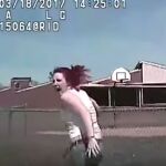 El vídeo puede herir sensibilidades porque muestra toda la secuencia del atropello