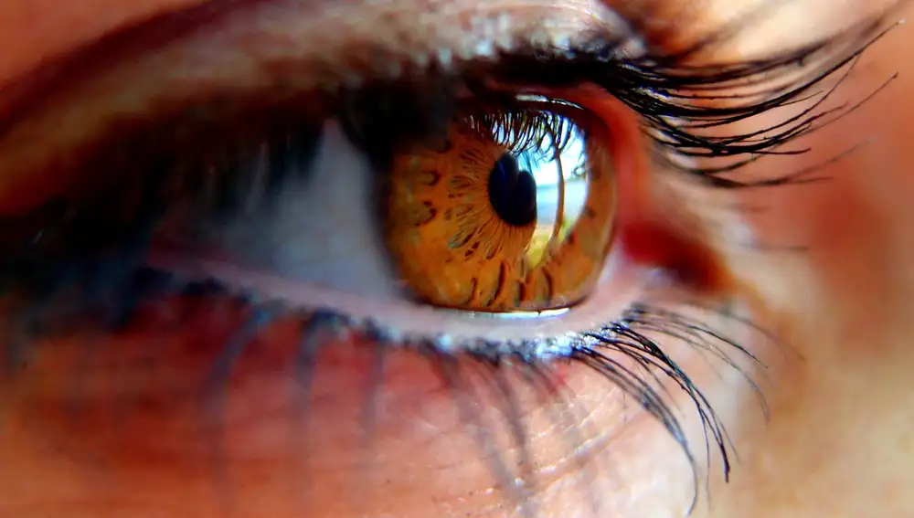 Los pacientes con diabetes que van al oftalmólogo presentan ya algún grado de pérdida de visión