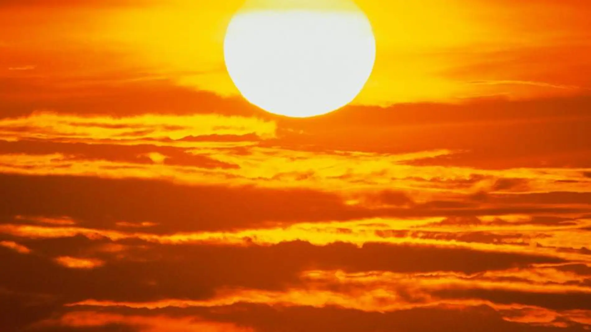 Olas de calor mortales llegarán a finales de este siglo