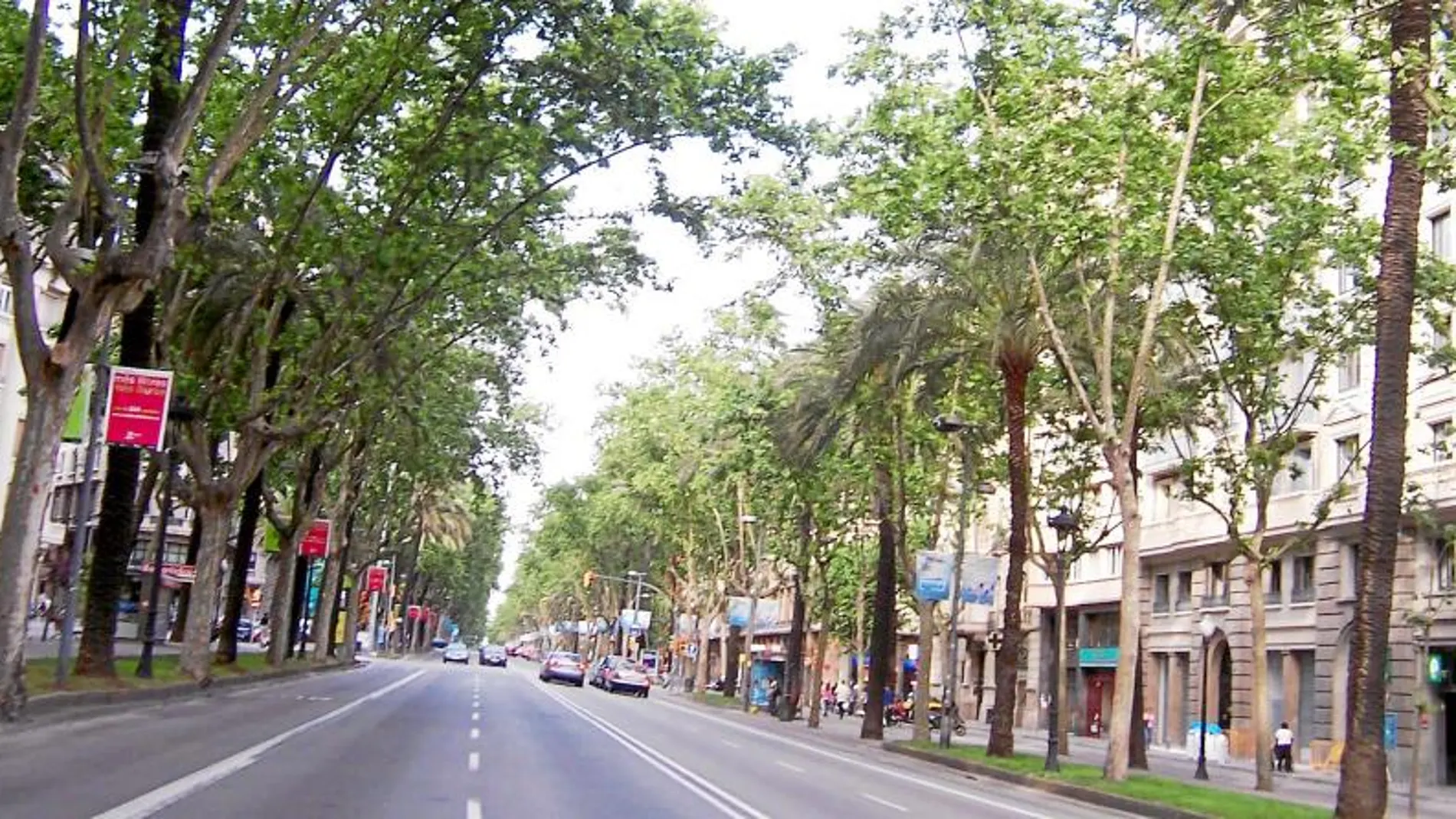 Un año después de terminar la reforma de la Diagonal, el Ayuntamiento ha presentado la nueva normativa de terrazas para esta avenida