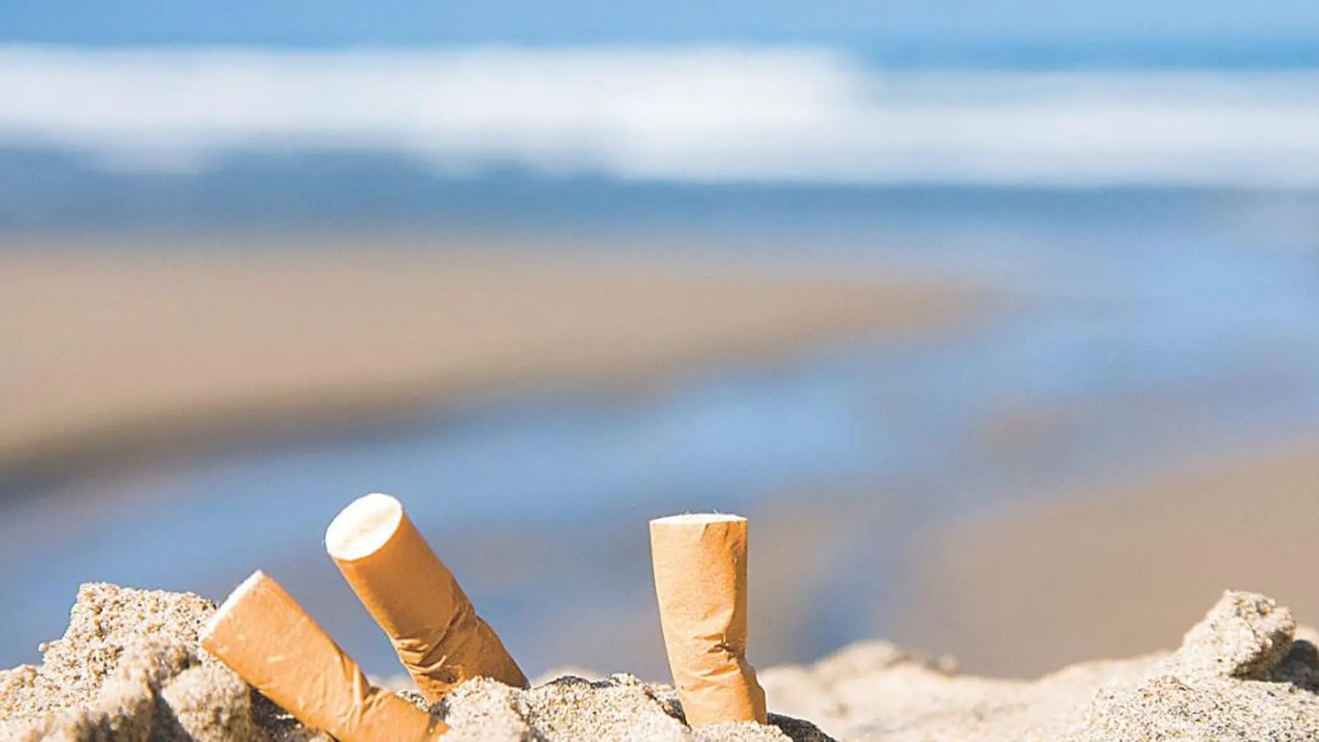 Los metales de las colillas abandonadas en la playa entran en cadena alimentaria