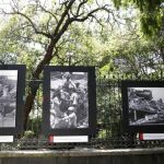 Exhibición fotográfica "Sismos de 1985 en la memoria de México