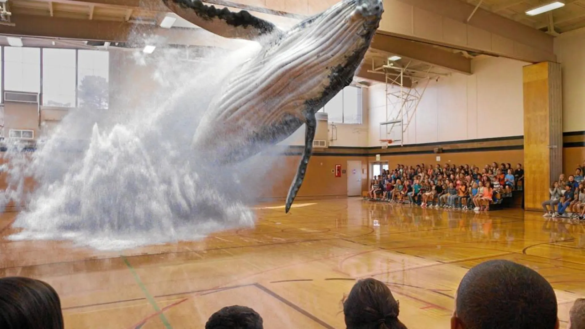 La realidad aumentada de Magic Leap llevó una ballena a un gimnasio