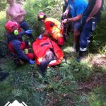 Un guarda resulta herido por el ataque de un jabalí en Asturias