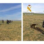 Imágenes facilitadas por la Guardia Civil de varios agentes "peinando"las proximidades del lugar de la explosión registrada ayer en la empresa Pirotecnia Zaragozana