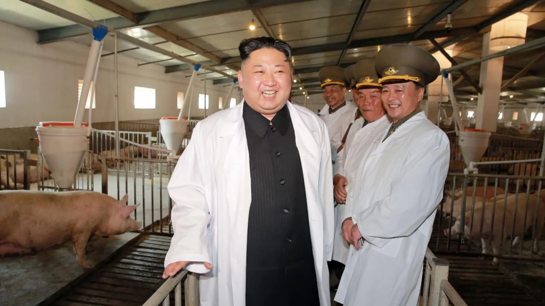 El líder norcoreano, Kim Jong Un, visita una granja de cerdos perteneciente a las Fuerzas Aéreas