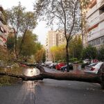 Los Bomberos de la Comunidad realizaron en tres horas y media 139 intervenciones, la mayoría por caídas de árboles. El 112 gestionó 668 avisos