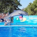 El delfinario del Zoo desaparecerá, según las directrices de la nueva dirección.