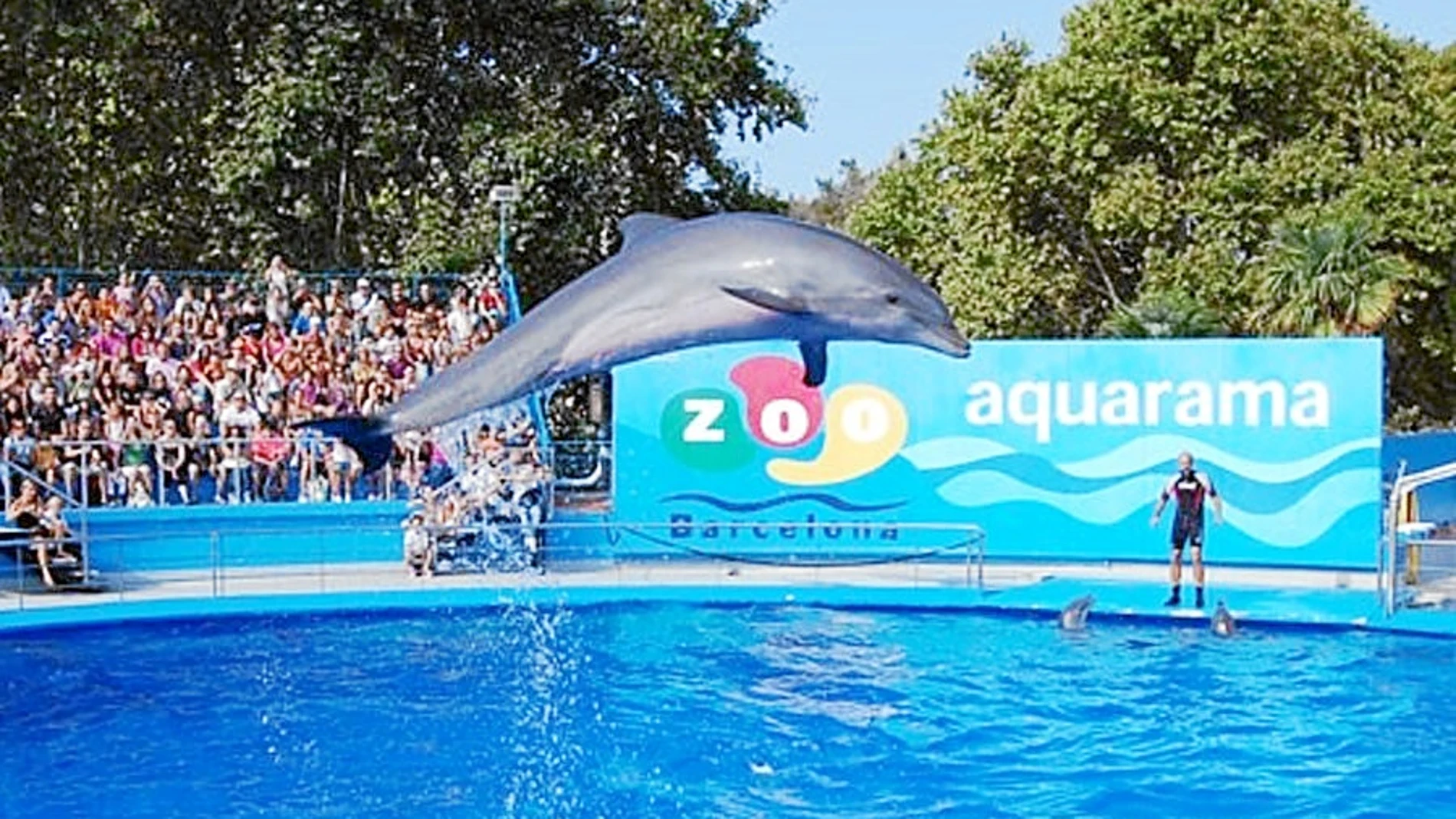 El delfinario del Zoo desaparecerá, según las directrices de la nueva dirección.