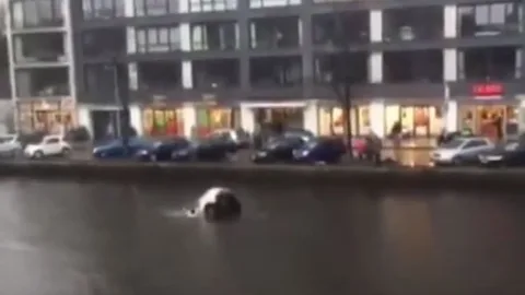 Dramático rescate de una madre y su hijo que cayeron con el coche a un canal en Holanda