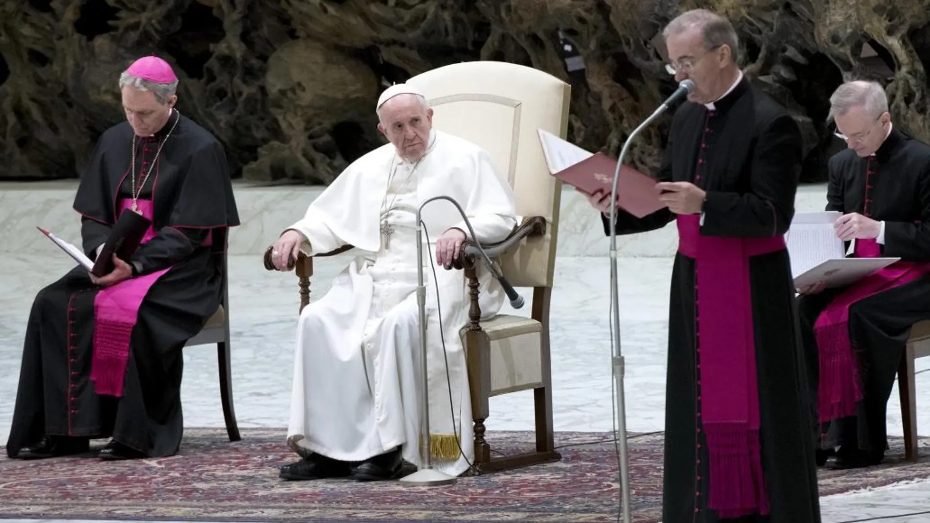 Francisco preside la audiencia general de los miércoles en el Aula Nervi en el Vaticano