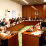 Reunión de la Diputación Permanente del Parlamento andaluz / Foto: La Razón
