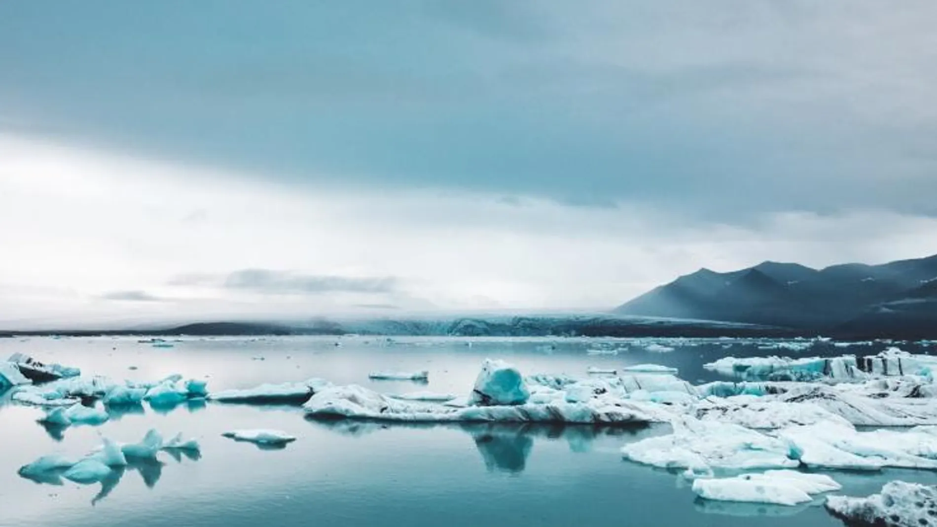 La cuenta «everyday climate change» está activa desde 2015 y la componen más de 30 fotógrafos.