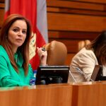 Silvia Clemente ha presidido uno de los plenos más largos, con hasta once puntos en el orden del día, de la presente legislatura