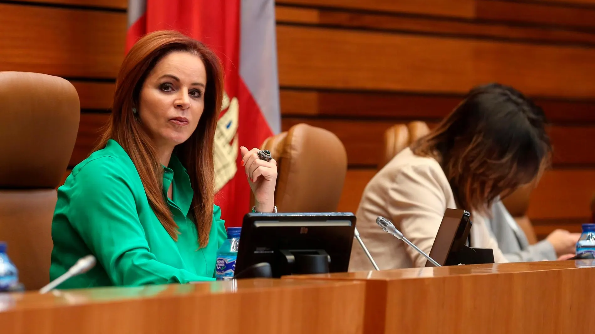 Silvia Clemente ha presidido uno de los plenos más largos, con hasta once puntos en el orden del día, de la presente legislatura