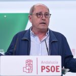 El secretario de Organización del PSOE de Andalucía, Juan Cornejo / Foto: La Razón