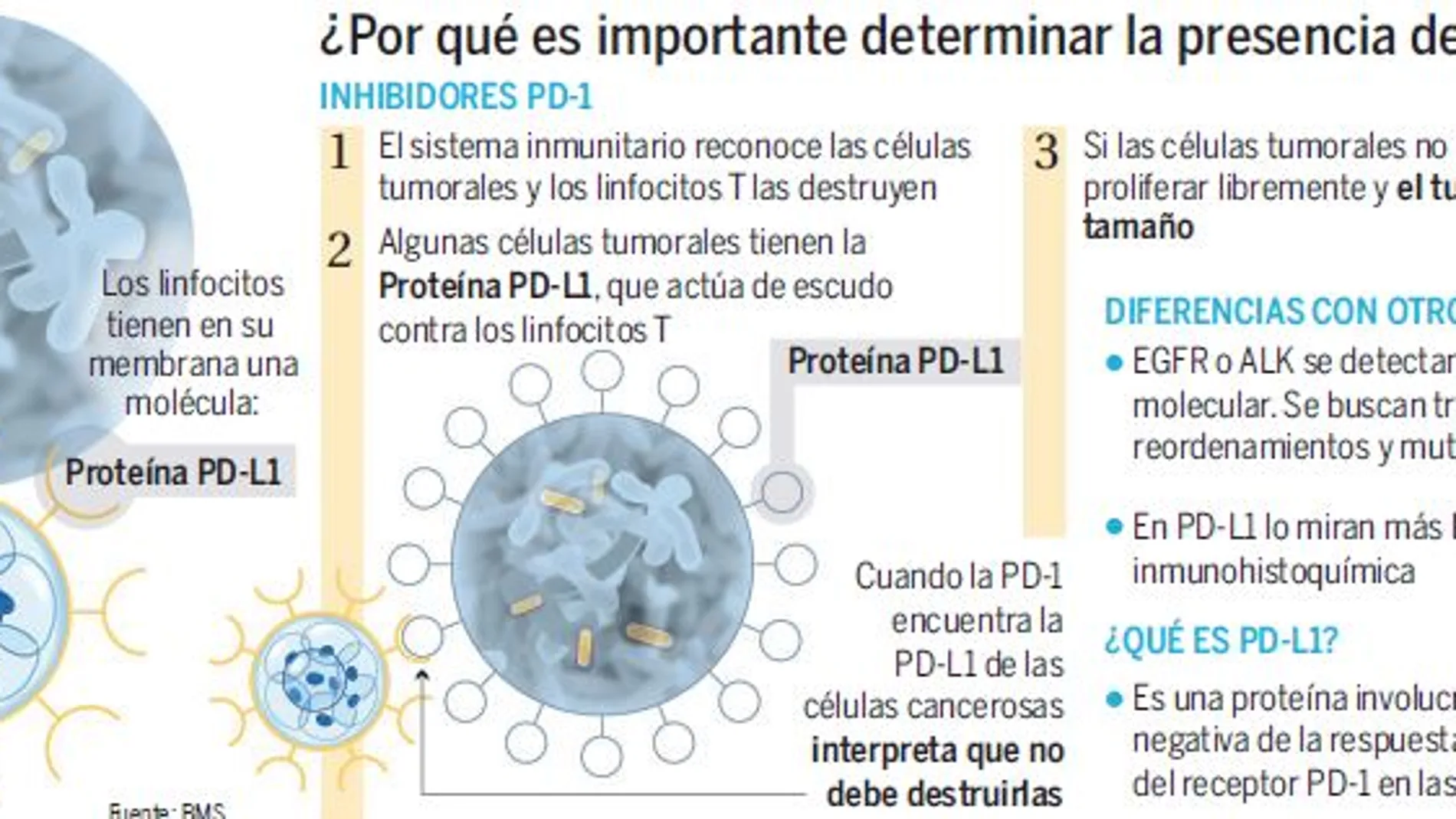 IOdetect, una plataforma pionera para detectar biomarcadores