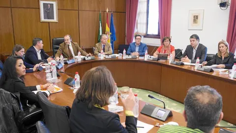 El parlamentario andaluz de Ciudadanos, Julio Díaz, preside la comisión de investigación parlamentaria sobre los cursos de formación