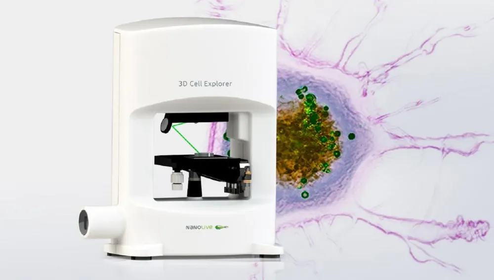 Microscopio De Células Vegetales Vivas CÉLULA ANIMAL Y VEGETAL