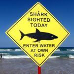 Un cartel advirtiendo de la presencia de tiburones en una playa australiana, el pasado martes