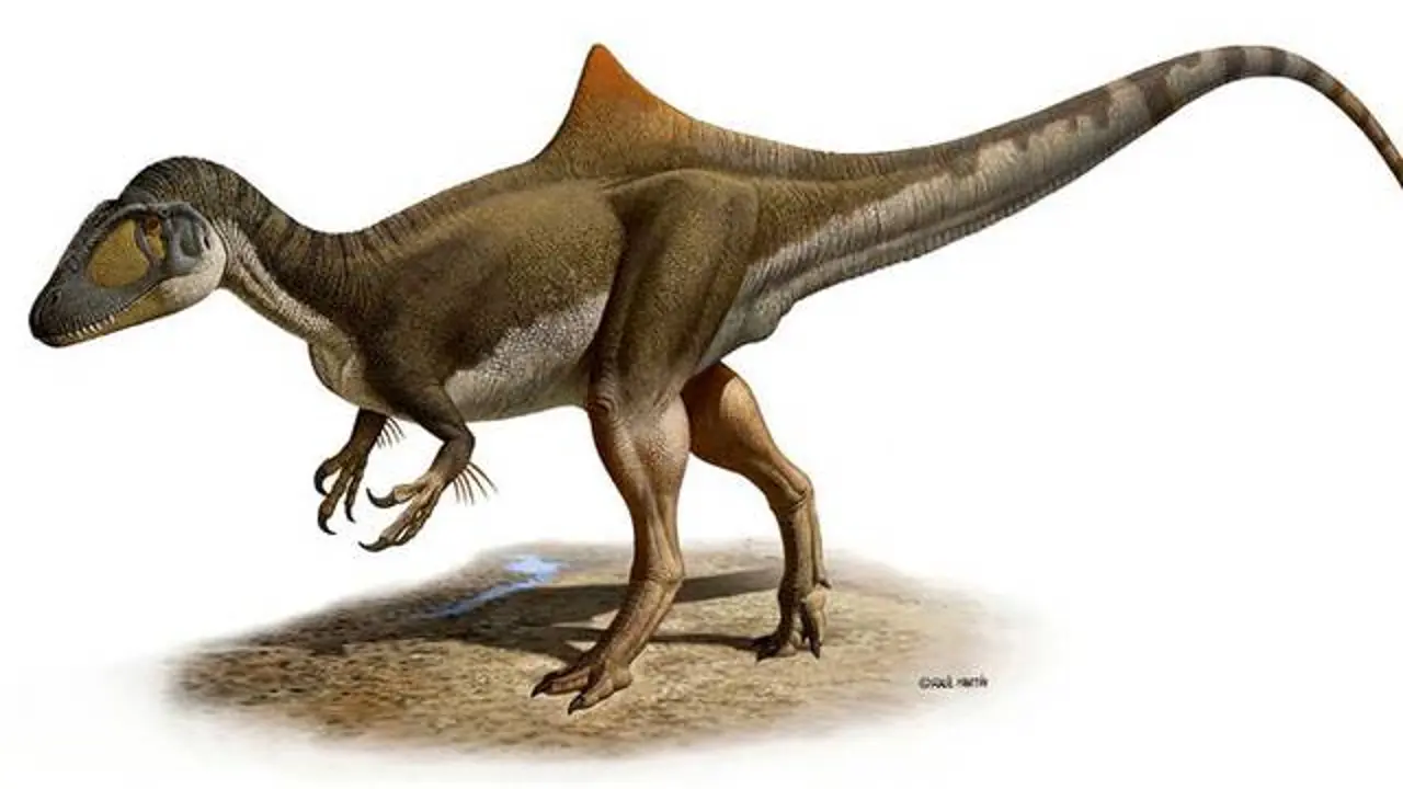 Pepito, el dinosaurio gigante y jorobado de Cuenca