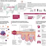 Las claves de la patología