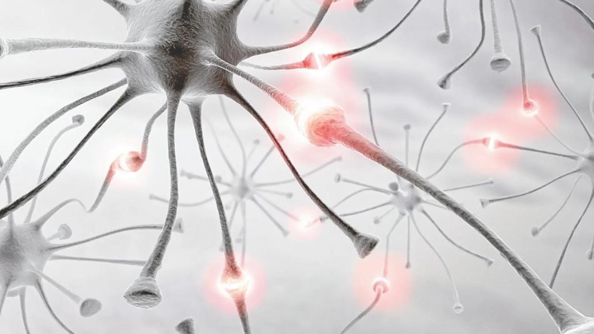 Las nuevas terapias buscan silenciar hasta dos años los brotes de esclerosis