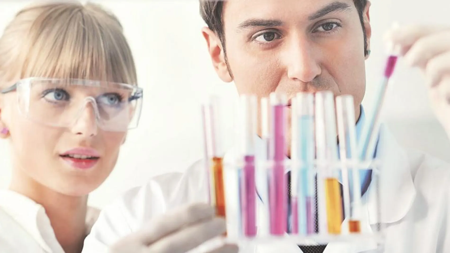 El trabajo debe estar orientado a combatir, paliar o prevenir, directa o indirectamente la enfermedad renal y sus consecuencias, dirigiendo la investigación a los biomarcadores de detección precoz de la progresión del daño renal