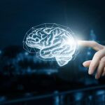 El cerebro colabora con el sistema inmunitario cuando se produce una infección