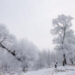 El extraordinario paisaje ha hecho que la isla de la Escarcha se gane un puesto entre las conocidas como cuatro maravillas naturales de China.