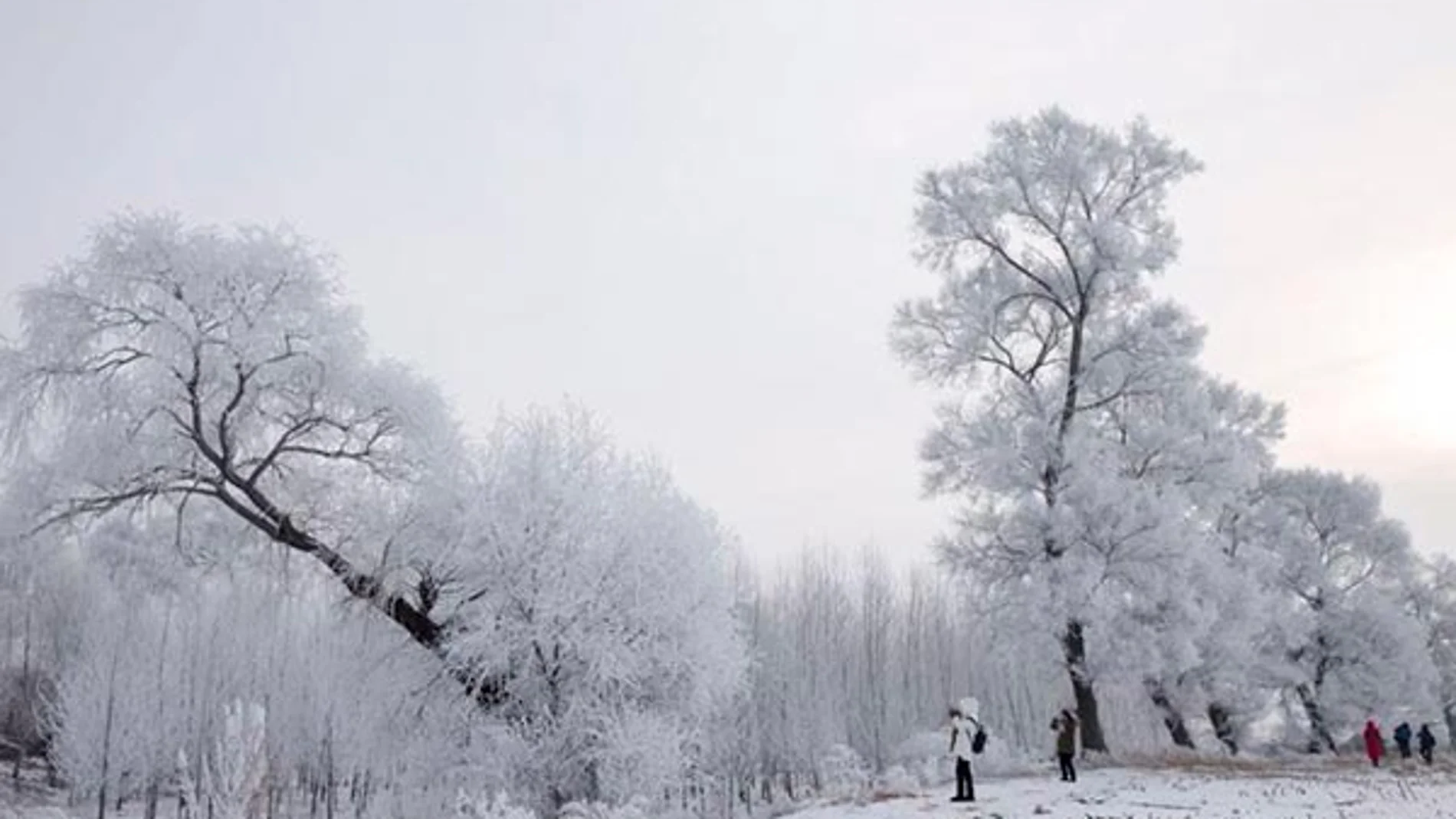 El extraordinario paisaje ha hecho que la isla de la Escarcha se gane un puesto entre las conocidas como cuatro maravillas naturales de China.